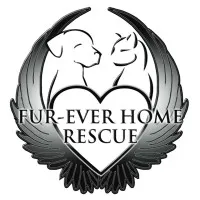 Fur Ever Home Rescue