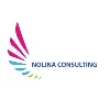 Nolina Consulting Inc Nolina Consulting Inc