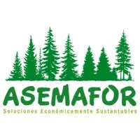 Asemafor SpA. Asemafor SpA.