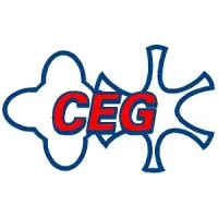 Compressor Engineering Group Inc.