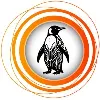 Pixel Penguin - Custom Software & Digital Solutions