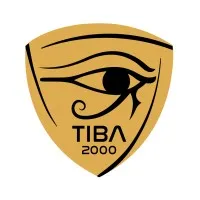 Tiba2000 Group Tiba2000 Group