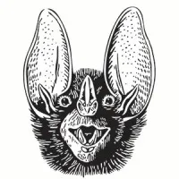 Batshit Crazy Ventures Batshit Crazy Ventures