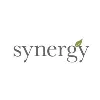Synergy Enterprises