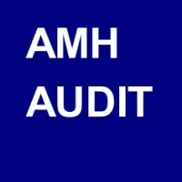 AMH Audit cjsc