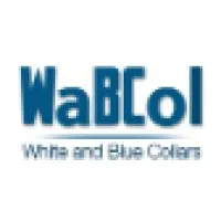 White and Blue Collars (WaBCol)