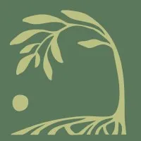 Canopy Consultants Canopy Consultants