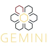 Gemini Healthcare Analytics Gemini Healthcare Analytics