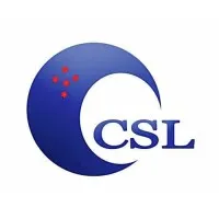 Computer Services Limited