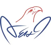 AEHI Inc