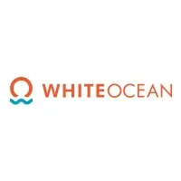 White Ocean Investment Services LLP White Ocean Investment Services LLP
