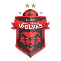 Wollongong Wolves Football Club