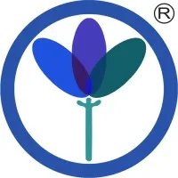 Mograsys Technologies Mograsys Technologies