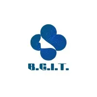 BGIT Group BGIT Group