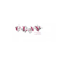 Clay Creative House Clay Creative House