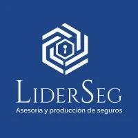 LiderSeg
