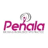 Penala Penala