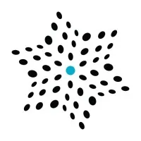 GravityXR