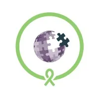 Comprehensive Mental Health Services, Inc.