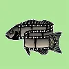 Black Snapper International Film Festival Black Snapper International Film Festival