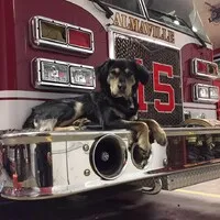 Almaville Volunteer Fire Rescue Department 