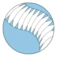 WPI Soft Robotics Lab WPI Soft Robotics Lab