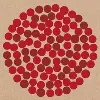 Donatos Pizza Donatos Pizza