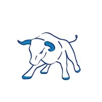 KnoBull Tampa, United States