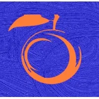 The Blue Orange Strategic Solutions, LLC