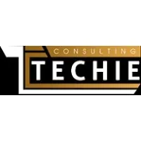 Techie Consulting Inc
