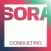 SORA Consulting SORA Consulting