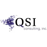 QSI Consulting Inc.