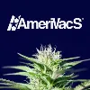 AmeriVacS AmeriVacS