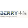 BERRY Consulting BERRY Consulting