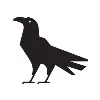 Corvus Coffee Roasters Corvus Coffee Roasters