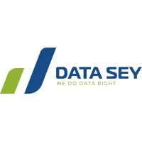 DATASEY Web Design Agency 