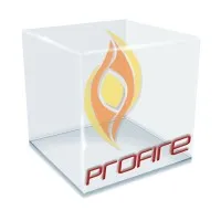 ProFire Safety Services ProFire Safety Services