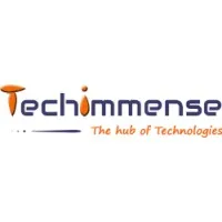 Techimmense Software Solutions