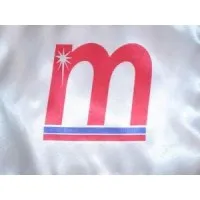 Martinic Ingeniería y Servicios Ltda.