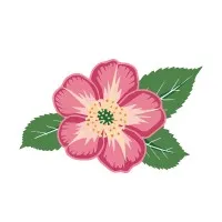 Capital City Club - Crabapple