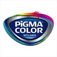 PIGMA COLOR PIGMA COLOR