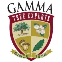 Gamma Tree Experts