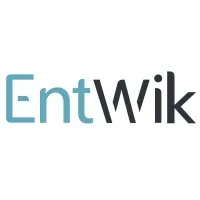 EntWik Gaming