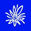 AMP Bank