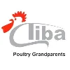 Tiba Poultry Grandparents Tiba Poultry Grandparents