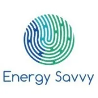 Energy Savvy Consultant