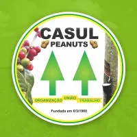 Cooperative Casul