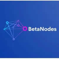 BetaNodes Inc