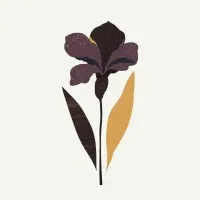 Studio Black Iris