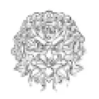 Ches Visual Design and Marketing